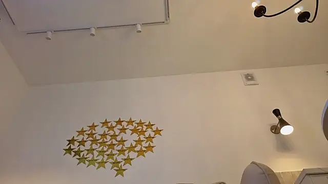 LittleForestELF2 webcam