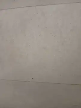 ti_95 webcam