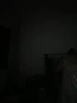 daaqnn webcam