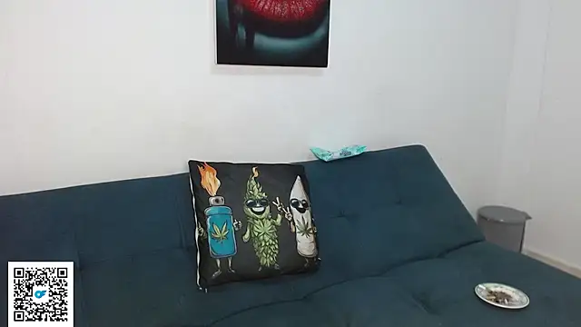 holegape webcam