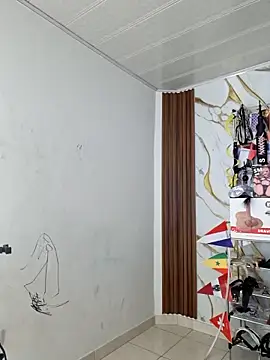 valen_ros webcam