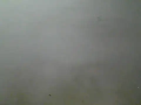Foxboy65 webcam