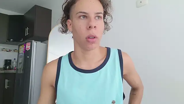 grey___27 webcam