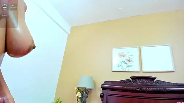 AriSweet webcam