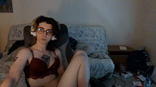 jaadetrans webcam