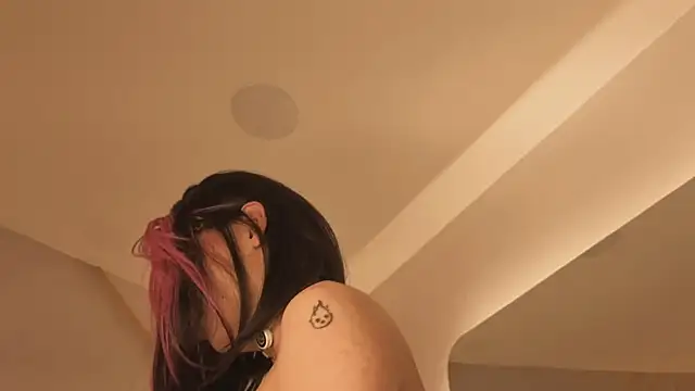 Nioki_ webcam