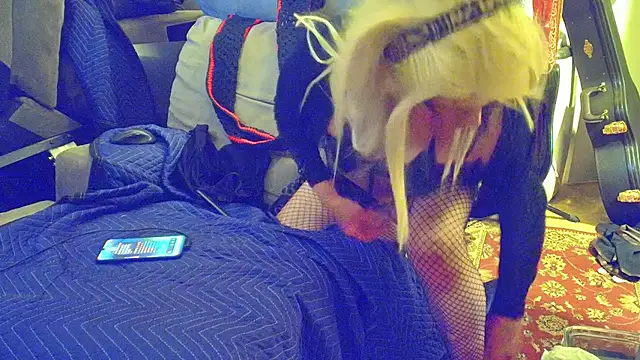 DoMeDoggyNow webcam