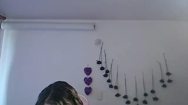 SLOPPYTITSS webcam