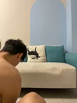 Mr_iphone11 webcam