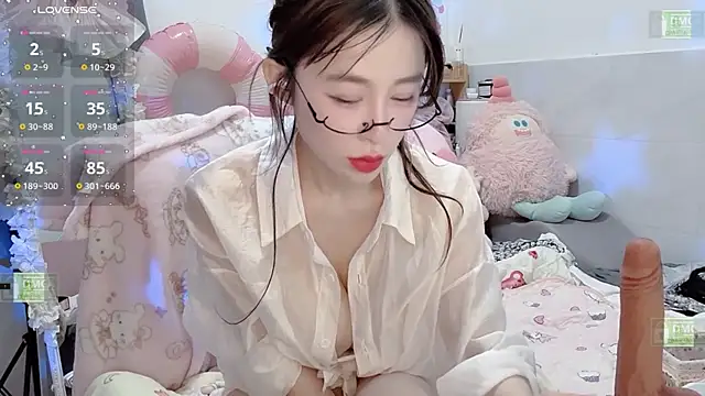 Yoyo_520 webcam