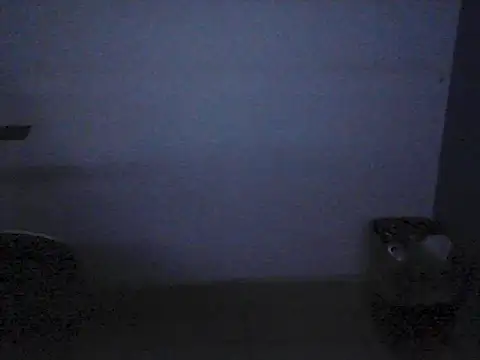 Kalel17073 webcam