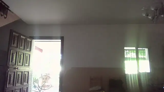 llopaco webcam