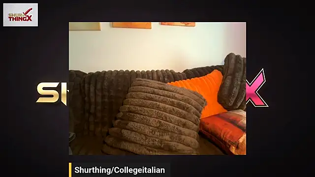 shurthingx webcam