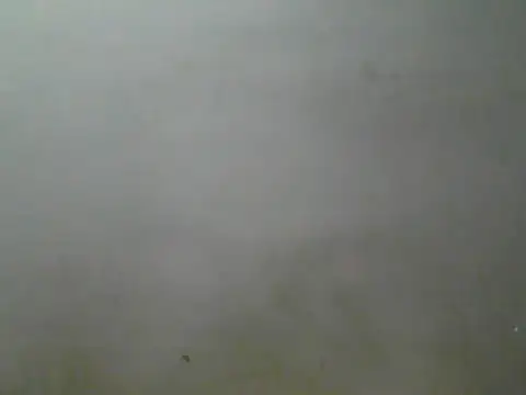 foxboy65 (M young) - Need tablet for streaming, make me cum