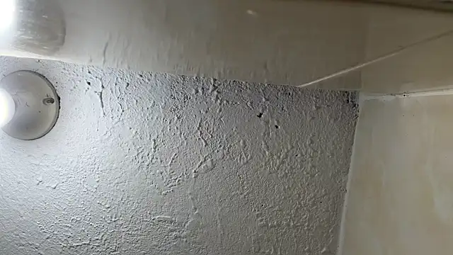 sexxxysquirterstev777 (M young) - CUM