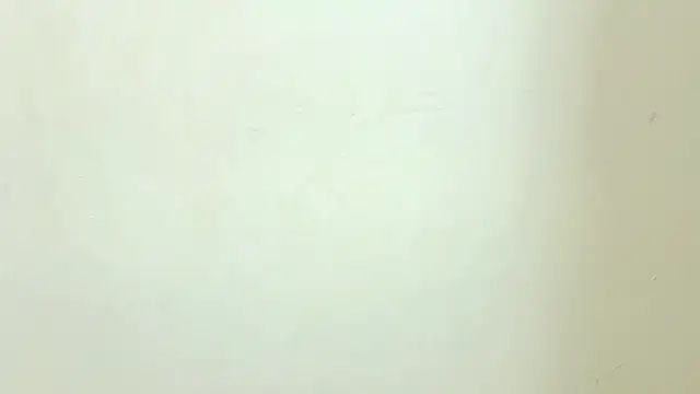 sammyRossek webcam