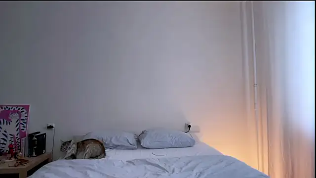 Milky___Way webcam