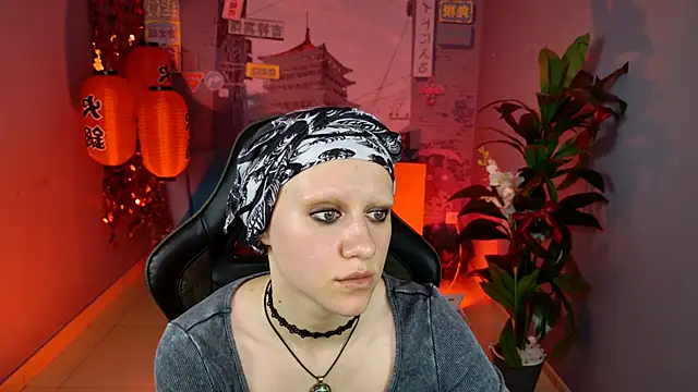 LidaDarknet webcam