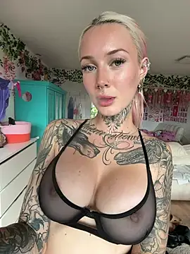 Stella-Kink webcam