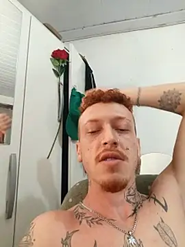 RuivoDotado24cm webcam