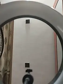 SLfilig webcam