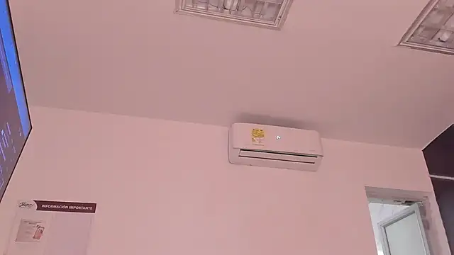 AerumChae webcam