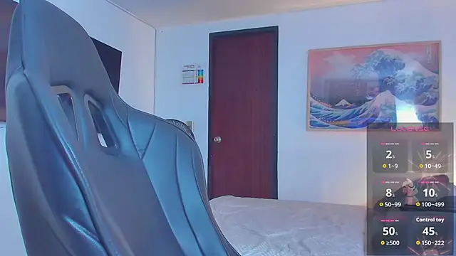 RJBarto webcam