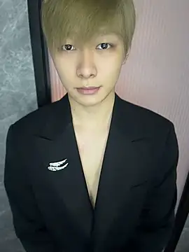 Vi_1314 webcam