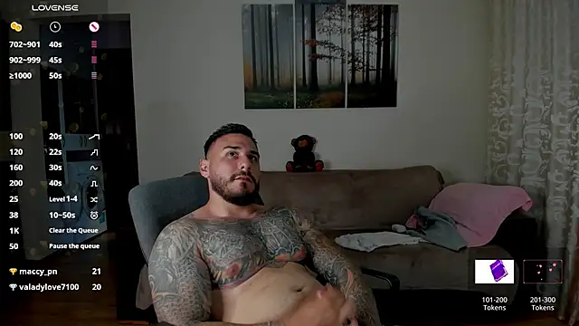 Gymdominus webcam