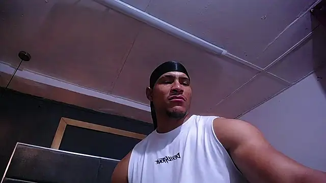 teddyfit19cm webcam