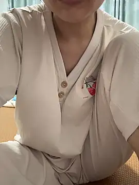 cmvoo webcam