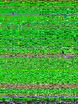 mahia_queen webcam