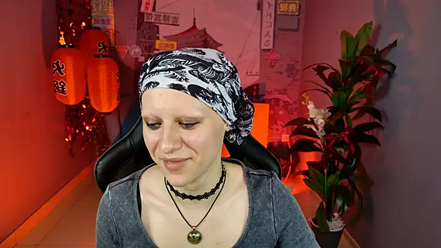 LidaDarknet webcam