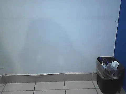 Kalel17073 webcam