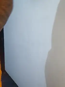 Alexsexygamer webcam