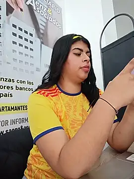 SOFIA-11_ webcam