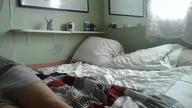 B3toBaby webcam