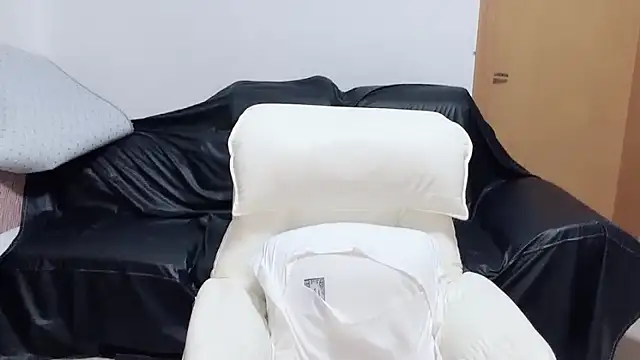 Fan-3 webcam