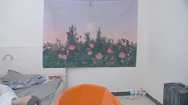 icecream-002 webcam