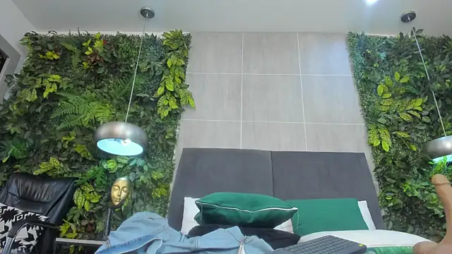 Virelune webcam