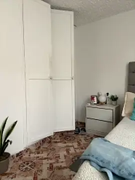 SubBoy_bear webcam