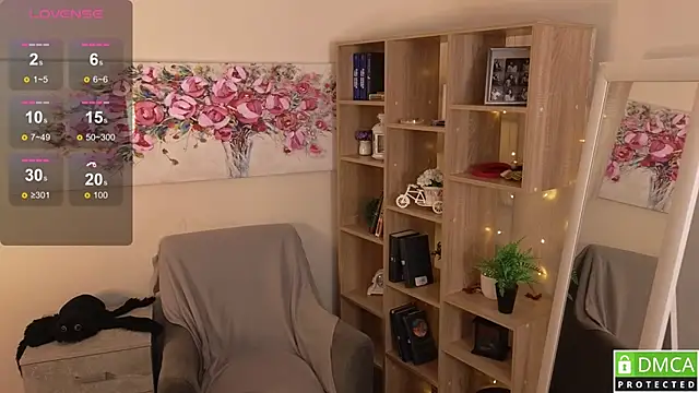 Sue_Sanders webcam