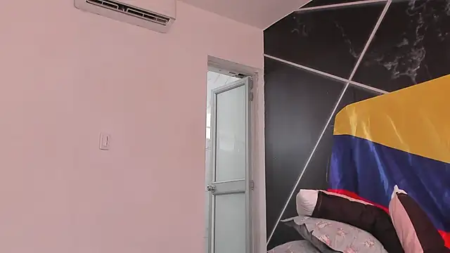 AerumChae webcam
