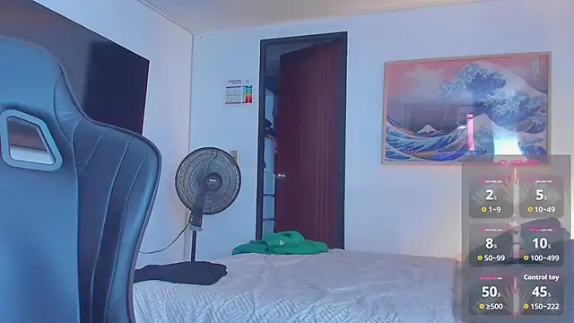 RJBarto webcam