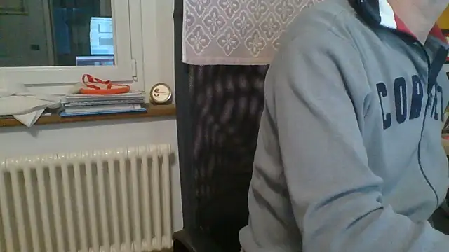 Kawayleo webcam