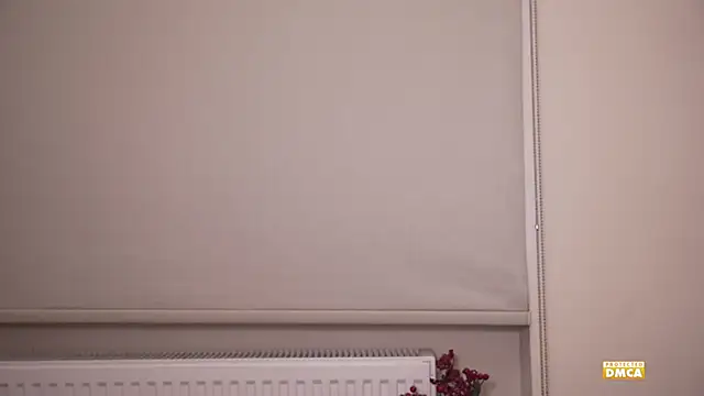 snowiie webcam