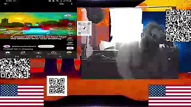 RussellTaylorLacy webcam