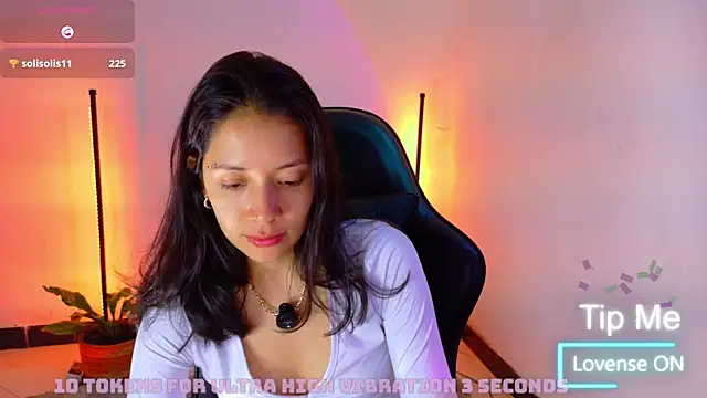 Sarasavage webcam