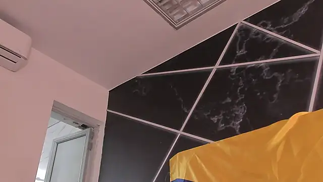 AerumChae webcam