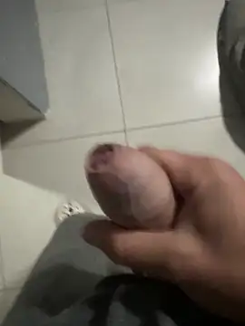 Brandy_Mr-Whiskers webcam